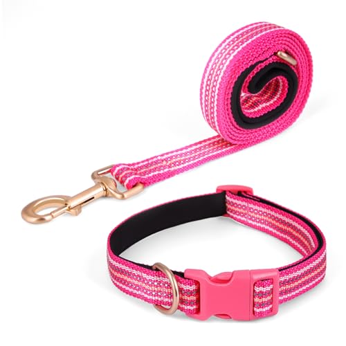 Pawhuggies Reflektierendes Hundehalsband und Leine, Nylon-Hundeleine mit robustem D-Ring aus Stahl, verstellbar mit Schnellverschluss-Schnalle für kleine Hunde, Hot Pink, Größe S von PawHuggies