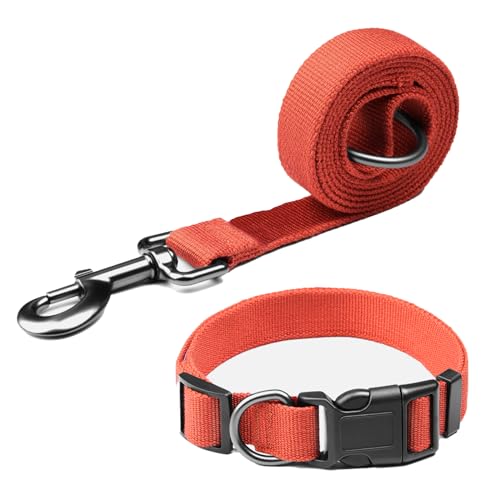 Pawhuggies Set mit Halsband und Leine für Hunde, Braun, verstellbares Halsband aus Bambusfaser, atmungsaktiv, 1,2 m lang, für den täglichen Spaziergang mit kleinen Hunden Pawhuggies Set mit Halsband und Leine für Hunde, Braun, verstellbares Halsband aus Bambusfaser, atmungsaktiv, 1,2 m lang, für den täglichen Spaziergang mit kleinen Hunden von PawHuggies