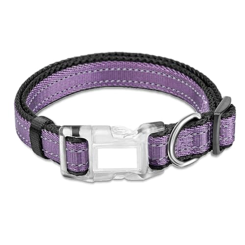 SP Reflektierendes Hundehalsband, Violett, M von PawHuggies