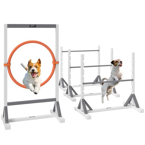 PawHut Agility Set Hunde 4-teiliges Agility-Ausrüstung für Hundetraining Steckhürdenset mit höhenverstellbar Hürden Reifen Trainingszubehör Koordinationstraining Agilityset für Spiele Training PawHut Agility Set Hunde 4-teiliges Agility-Ausrüstung für Hundetraining Steckhürdenset mit höhenverstellbar Hürden Reifen Trainingszubehör Koordinationstraining Agilityset für Spiele Training von PawHut