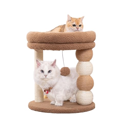 PawPalace Kleiner Kratzbaum für Indoor-Katzen mit großer, gemütlicher Sitzstange aus Plüsch, natürliche Sisal-Kratzbäume für Kätzchen und Katzen PawPalace Kleiner Kratzbaum für Indoor-Katzen mit großer, gemütlicher Sitzstange aus Plüsch, natürliche Sisal-Kratzbäume für Kätzchen und Katzen von PawPalace