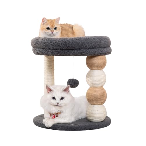 PawPalace Kratzbaum für Indoor-Katzen mit großer gemütlicher Plüsch-Katzen-Sitzstange, natürliche Sisal-Kratzbäume für Kätzchen und große Katzen PawPalace Kratzbaum für Indoor-Katzen mit großer gemütlicher Plüsch-Katzen-Sitzstange, natürliche Sisal-Kratzbäume für Kätzchen und große Katzen von PawPalace
