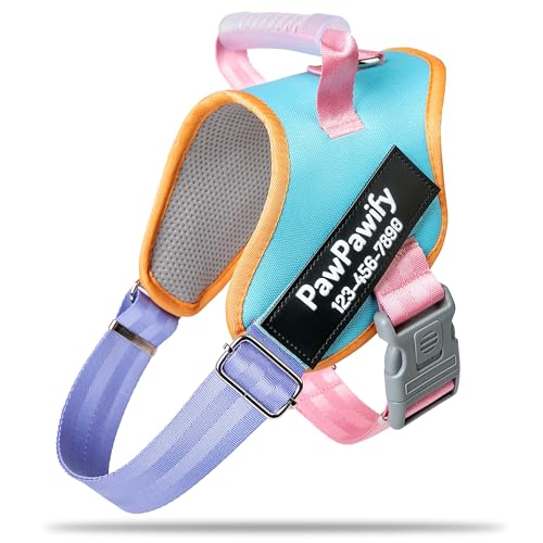 PawPawify Hundegeschirr mit Namen und Telefonnummer, personalisierbar, für Training und Spazierengehen, strapazierfähig, personalisierbar, um Zerren, Ziehen oder Ersticken zu verhindern PawPawify Hundegeschirr mit Namen und Telefonnummer, personalisierbar, für Training und Spazierengehen, strapazierfähig, personalisierbar, um Zerren, Ziehen oder Ersticken zu verhindern von PawPawify