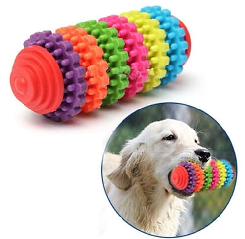 PawPlanet Unzerstörbares Hundespielzeug und Zahnbürste für Große und Kleine Hunde - Perfektes Kauspielzeug und Zahnpflege für Ihren Hund von PawPlanet