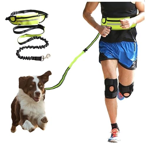 PAWPLANET Hochleistungs-Seilleine für Hunde - Robuste, Sicherheitsgeprüfte Schleppleine mit Komfortgriff und Stabilem Karabiner, Ideal für Kleine bis Große Hunde von PawPlanet