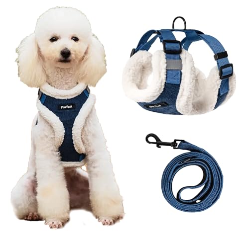 PawPosh Luxuriöses Winter-Hundegeschirr und Leine, warm, weich gepolstert, süßes Denim-Design für kleine Hunde, Welpen und mittelgroße Rassen, verstellbares Anti-Zug-Geschirr für Jungen und Mädchen, von PawPosh