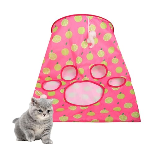 PawSailor Katzentunneltasche – Kitty faltbare Höhle mit Knistersack, 1 kleine Maus & 3 Bälle – interaktives Haustierspielzeug – Rose Pink S PawSailor Katzentunneltasche – Kitty faltbare Höhle mit Knistersack, 1 kleine Maus & 3 Bälle – interaktives Haustierspielzeug – Rose Pink S von PawSailor