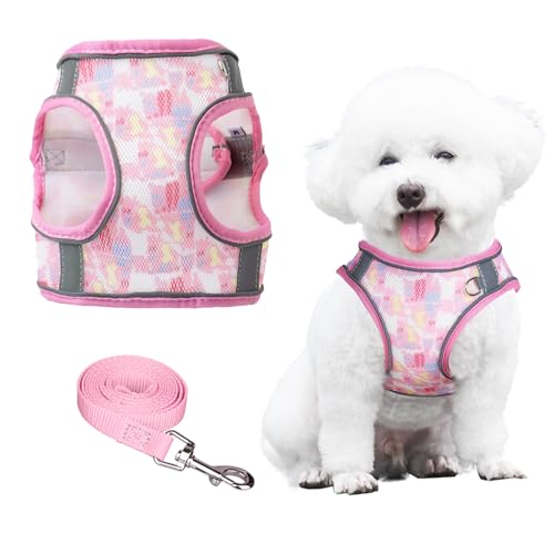 PawSailor No-Pull-Hundegeschirr Leine-Set, Step-In-Blumendruck, Verstellbares, Atmungsaktives Netz-Haustiergeschirr, Reflektierendes, Weich Gepolstertes Westengeschirr Für Kleine Hunde, Rosa, XXS PawSailor No-Pull-Hundegeschirr Leine-Set, Step-In-Blumendruck, Verstellbares, Atmungsaktives Netz-Haustiergeschirr, Reflektierendes, Weich Gepolstertes Westengeschirr Für Kleine Hunde, Rosa, XXS von PawSailor