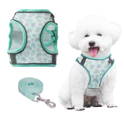 PawSailor No-Pull-Hundegeschirr Und Leine-Set, Step-In-Blumendruck, Verstellbares, Atmungsaktives Netz-Haustiergeschirr, Reflektierendes, Weich Gepolstertes Westengeschirr Für Kleine Hunde, Grün, XXS PawSailor No-Pull-Hundegeschirr Und Leine-Set, Step-In-Blumendruck, Verstellbares, Atmungsaktives Netz-Haustiergeschirr, Reflektierendes, Weich Gepolstertes Westengeschirr Für Kleine Hunde, Grün, XXS von PawSailor