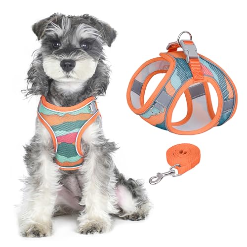 PawSailor Hundegeschirr-Leinen-Set, Step-In, Kein Ziehen, Bedruckt, Reflektierend, Atmungsaktiv, Verstellbar, Ausbruchsicher, Hundeweste, Geschirr Für Extra Kleine Hunde Und Katzen, Orange XXS PawSailor Hundegeschirr-Leinen-Set, Step-In, Kein Ziehen, Bedruckt, Reflektierend, Atmungsaktiv, Verstellbar, Ausbruchsicher, Hundeweste, Geschirr Für Extra Kleine Hunde Und Katzen, Orange XXS von PawSailor