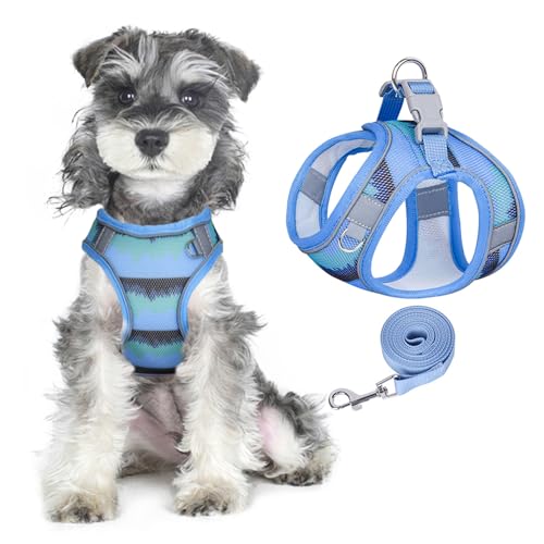 PawSailor No Pull Hundegeschirr Und Leinen-Set, Weiches Netzgewebe, Atmungsaktiv, Step-In, Verstellbar, Bedruckt, Reflektierend, Ausbruchsicher, Für Kleine Und Mittelgroße Hunde, Blau L von PawSailor