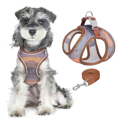 PawSailor No Pull Hundegeschirr Und Leinen-Set, Weiches Netzgewebe, Atmungsaktiv, Step-In, Verstellbar, Bedruckt, Reflektierend, Ausbruchsicher, Für Kleine Und Mittelgroße Hunde, Braun L von PawSailor