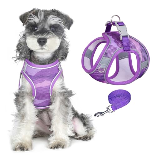 PawSailor Step-In Hundegeschirr Und Leine Set Aus Netzstoff, Atmungsaktiv, Kein Ziehen, Ausbruchsicher, Reflektierend, Verstellbar, Easy Walk, Welpenweste, Geschirr Für Kleine Hunde, Katzen, Lila XS PawSailor Step-In Hundegeschirr Und Leine Set Aus Netzstoff, Atmungsaktiv, Kein Ziehen, Ausbruchsicher, Reflektierend, Verstellbar, Easy Walk, Welpenweste, Geschirr Für Kleine Hunde, Katzen, Lila XS von PawSailor