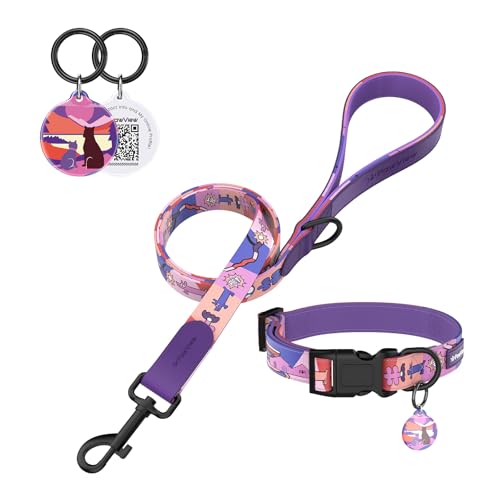 PawView Halsband- und Leinenset für Hunde – Verstellbar, ideal für tägliche Spaziergänge, künstlerisches Set für Welpen & Erwachsene Hunde XS (Halsumfang: 22 –30 cm, Leine: 1.5) von PawView