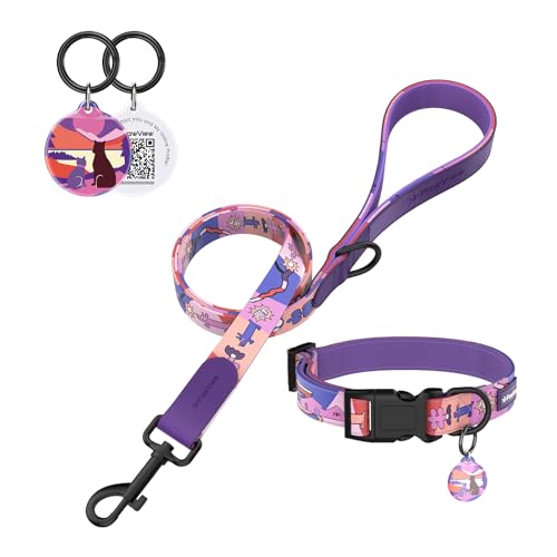 PawView Hundehalsband und Leine, Set mit QR-Code-ID-Tag, verstellbar, wasserdicht und bequem, für kleine, mittelgroße und große Hunde (XS: Halsumfang 22–30 cm, Breite 1,5 cm, Sonnenuntergang) von PawView
