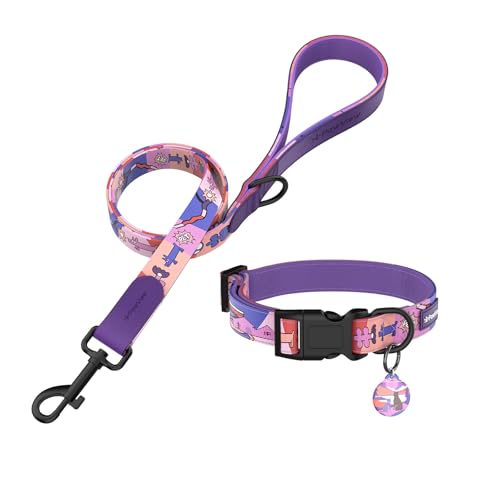 PawView Hundehalsband und Leine, Set mit Smart-ID-Tag, verstellbar, wasserdicht und bequem, für kleine, mittelgroße und große Hunde (S, Sonnenuntergang, 28–43 cm) von PawView