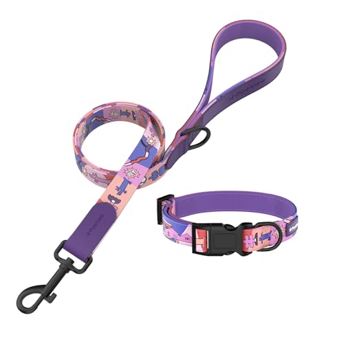 PawView Hundehalsband & Leine Set mit Smart ID Tag – verstellbar, wasserdicht & bequem – für kleine, mittelgroße und große Hunde (L, Sonnenuntergang, 41–66 cm) von PawView