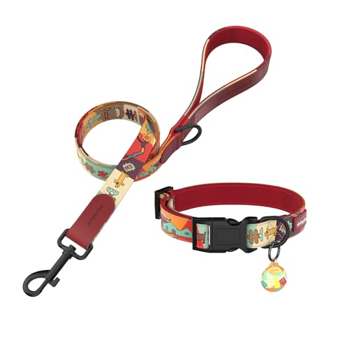 PawView Set mit kleinem Hundehalsband und Leine mit Smart-ID-Tag, verstellbares Halsband für kleine, mittelgroße und große Hunde (L, Sonnenaufgang, 41–66 cm) von PawView