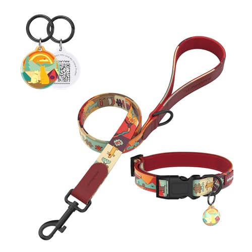 PawView Halsband- und Leinenset für Hunde – Verstellbar & wasserdicht Alltagsspaziergänge künstlerisches Leinen- und Halsband-Set für mittelgroßer Hund Größe M von PawView