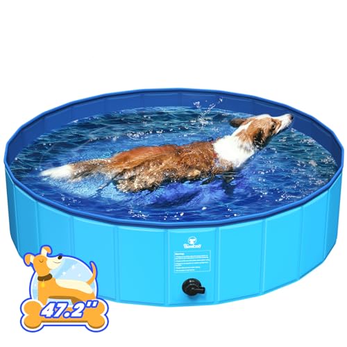Pawaboo Faltbarer Hundepool Hundebad, Swimmingpool für Hunde, Einfache Aufbewahrung, Harte Kratzfeste Haustier Pool für Welpen Katzen, Tragbar Planschbecken für Haustiere (120cm x 30cm, L) von Pawaboo