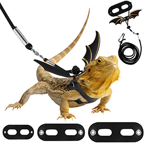 Pawaboo Haustiergeschirr, 3 Leder Bearded Dragon Eidechse Geschirr Hängematte Set Verstellbare Outdoor Harness Leine für Kleine Haustiere Eidechse Reptilien - Schwarz + Gold von Pawaboo