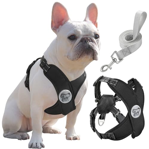 Pawaboo Hundegeschirr mit Hundeleine Set, X-Rahmen Verstellbares Anti Zug Anti-Erstickung Hund Brustgeschirr für Kleine, Mittelgroße Hunde & Welpen, Atmungsaktive Hundeweste mit Leine (L, Schwarz) von Pawaboo