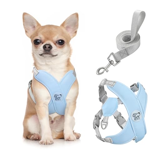 Pawaboo Hundegeschirr mit Hundeleine Set, X-Rahmen Verstellbares Anti Zug Anti-Erstickung Hund Brustgeschirr für Kleine, Mittelgroße Hunde & Welpen, Atmungsaktive Hundeweste mit Leine (S, Blau) von Pawaboo