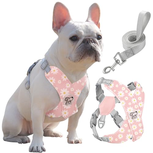 Pawaboo Hundegeschirr mit Hundeleine Set, X-Rahmen Verstellbares Anti Zug Anti-Erstickung Hund Brustgeschirr für Kleine, Mittelgroße Hunde & Welpen, Hundeweste mit Leine, L, Rosa Gänseblume von Pawaboo