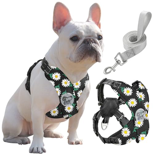 Pawaboo Hundegeschirr mit Hundeleine Set, X-Rahmen Verstellbares Anti Zug Anti-Erstickung Hund Brustgeschirr für Kleine, Mittelgroße Hunde & Welpen, Hundeweste mit Leine, L, Schwarze Gänseblume von Pawaboo