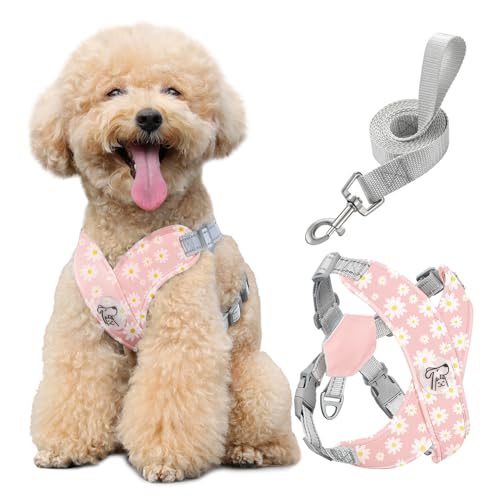 Pawaboo Hundegeschirr mit Hundeleine Set, X-Rahmen Verstellbares Anti Zug Anti-Erstickung Hund Brustgeschirr für Kleine, Mittelgroße Hunde & Welpen, Hundeweste mit Leine, M, Rosa Gänseblume von Pawaboo