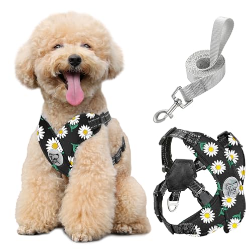 Pawaboo Hundegeschirr mit Hundeleine Set, X-Rahmen Verstellbares Anti Zug Anti-Erstickung Hund Brustgeschirr für Kleine, Mittelgroße Hunde & Welpen, Hundeweste mit Leine, M, Schwarze Gänseblume von Pawaboo