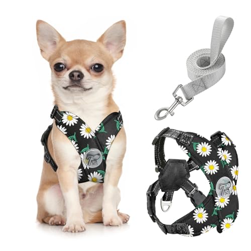 Pawaboo Hundegeschirr mit Hundeleine Set, X-Rahmen Verstellbares Anti Zug Anti-Erstickung Hund Brustgeschirr für Kleine, Mittelgroße Hunde & Welpen, Hundeweste mit Leine, S, Schwarze Gänseblume von Pawaboo