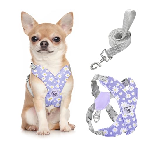 Pawaboo Hundegeschirr mit Hundeleine Set, X-Rahmen Verstellbares Anti Zug Anti-Erstickung Hund Brustgeschirr für Kleine, Mittelgroße Hunde & Welpen, Hundeweste mit Leine, S, Violette Gänseblume von Pawaboo