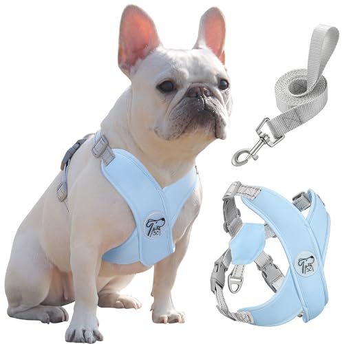 Pawaboo Hundegeschirr mit Hundeleine Set, X-Rahmen Verstellbares Anti Zug Anti-Erstickung Hund Brustgeschirr für Kleine, Mittelgroße Hunde & Welpen, Atmungsaktive Hundeweste mit Leine (L, Blau) von Pawaboo