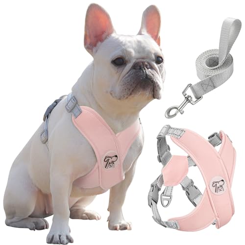 Pawaboo Hundegeschirr mit Leine-Set, X-Rahmen, kein Ziehen, verstellbar erstickungsfrei Hundewestengeschirr für kleine, mittelgroße Hunde Welpen, Welpenweste mit Leine für Spaziergänge (L, Rosa) von Pawaboo