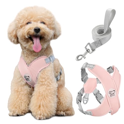 Pawaboo Hundegeschirr mit Hundeleine Set, X-Rahmen Verstellbares Anti Zug Anti-Erstickung Hund Brustgeschirr für Kleine, Mittelgroße Hunde & Welpen, Atmungsaktive Hundeweste mit Leine (M, Rosa) von Pawaboo