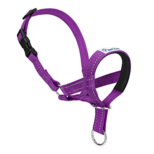 Pawaboo Hundehalfter Haustier Sicher Kontrolle - Nylon Reflektierende Einstellbare Hundehalter Hundeband Training Halter für Hunde, Wepeln, M Größe, Lila von Pawaboo