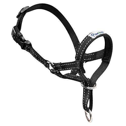 Pawaboo Hundehalfter Haustier Sicher Kontrolle - Nylon Reflektierende einstellbare Hundehalter Hundeband Training Halter für Hunde, Wepeln, S Größe, Schwarz Pawaboo Hundehalfter Haustier Sicher Kontrolle - Nylon Reflektierende einstellbare Hundehalter Hundeband Training Halter für Hunde, Wepeln, S Größe, Schwarz von Pawaboo
