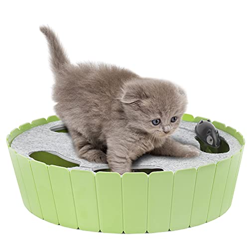 Pawaboo Interaktives Spielzeug mit Laufender Maus, Elektronisches Katzenspielzeug mit Automatischer Bewegung, Pop und Verstecken Spielen, Katzenspielzeug mit Jagdmaus, Mint Grün Pawaboo Interaktives Spielzeug mit Laufender Maus, Elektronisches Katzenspielzeug mit Automatischer Bewegung, Pop und Verstecken Spielen, Katzenspielzeug mit Jagdmaus, Mint Grün von Pawaboo