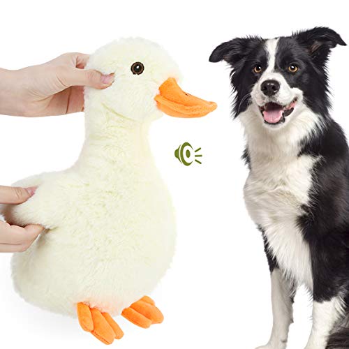 Pawaboo Plüsch Hundespielzeug, Ente Plüschspielzeug Sicher Kauspielzeug Ungiftig Kuscheltier Stuffed Quietschen Interaktives Spielzeug mit Füllung Plüsch Stoff für Hunde Beißen und Training, 12 Zoll von Pawaboo