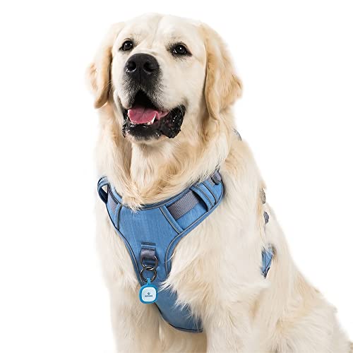 Pawaii Dog Harness DL UK von Pawaii