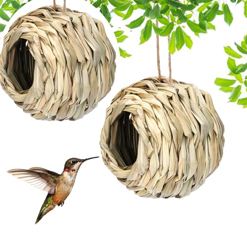 Pawcean Set mit 2 natürlichen Kolibri-Häusern zum Aufhängen im Freien, Gartengeschenke, Heimdekoration, Nest für kleinen Garten für Wellensittiche von Pawcean