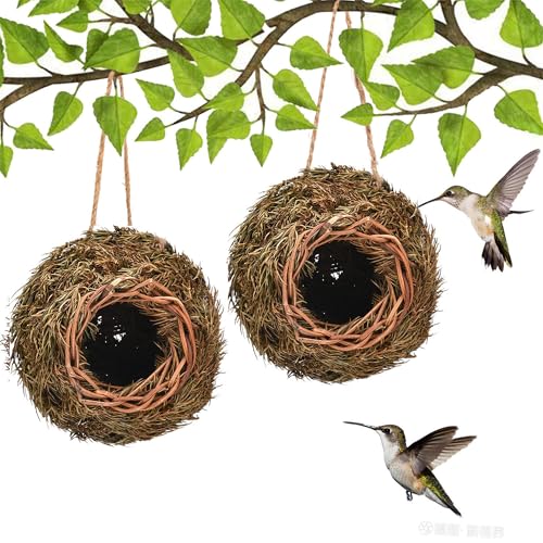 Pawcean Vintage Vogelhaus Nest Kolibri Haus für draußen kleines Gras hängend Vogel Nisten Natur Garten Vogelhaus Box 2 Stück von Pawcean