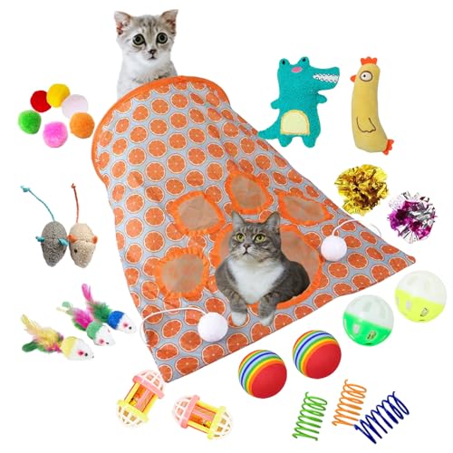 Pawdea 25 PCS Cat Toys Kitten Toys Set, Collapsible Cat Tunnel Bags for Indoor Cats, Interactive Kitty Toys Cat Feather Toy Set, Mouse Catnip Toys, Springs Fuzzy Crinkle Colorful Balls for Cat, Kitty von Pawdea