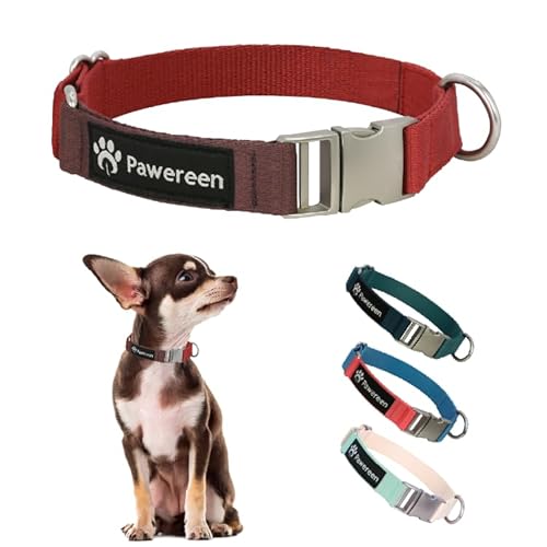 Pawereen Basic Hundehalsband, robuste Metallschnalle, weiches recyceltes Gurtband, Befestigung an der Leine, verstellbare Größe für kleine, mittelgroße und große Hunde, Größe XS, roter Samt Pawereen Basic Hundehalsband, robuste Metallschnalle, weiches recyceltes Gurtband, Befestigung an der Leine, verstellbare Größe für kleine, mittelgroße und große Hunde, Größe XS, roter Samt von Pawereen