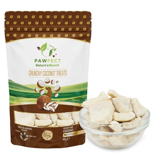 Pawfect Nature's Much Freeze Dried Crunchy Coconut Treats von Pawfect Treats