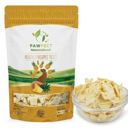 Pawfect Nature's Munch Ananas-Leckereien gefriergetrocknet sauer von Pawfect Treats