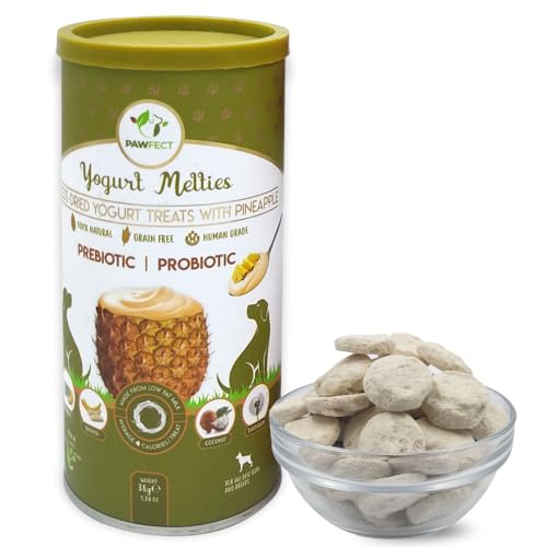 Pawfect gefriergetrocknete Joghurt-Leckereien mit Ananas Pawfect gefriergetrocknete Joghurt-Leckereien mit Ananas von Pawfect Treats