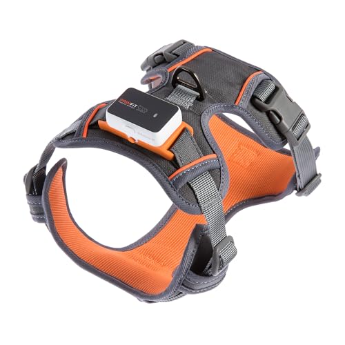 Pawfit 3-Hundegeschirr | Anti-Zug Geschirr für Hunde | komfortable Mesh-Polsterung | Verstellbar | Mit Zwei Leinenringen | Reflektierend | Atmungsaktiv | Für Training und Gassi Gehen | Größe L Pawfit 3-Hundegeschirr | Anti-Zug Geschirr für Hunde | komfortable Mesh-Polsterung | Verstellbar | Mit Zwei Leinenringen | Reflektierend | Atmungsaktiv | Für Training und Gassi Gehen | Größe L von Pawfit