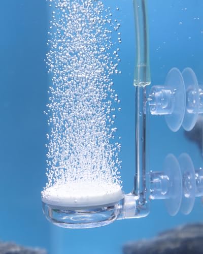 Pawfly Aquarium Luftstein Aquarium luftausströmer Blasenablass-Werkzeugsatz mit Saugnapf-Luftregelventil und Rückschlagventil Zubehör, sprudelstein für Aquarium und Fischbecken (3,5 cm) Pawfly Aquarium Luftstein Aquarium luftausströmer Blasenablass-Werkzeugsatz mit Saugnapf-Luftregelventil und Rückschlagventil Zubehör, sprudelstein für Aquarium und Fischbecken (3,5 cm) von Pawfly